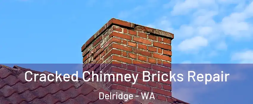 Cracked Chimney Bricks Repair Delridge - WA