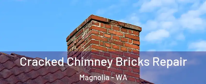 Cracked Chimney Bricks Repair Magnolia - WA