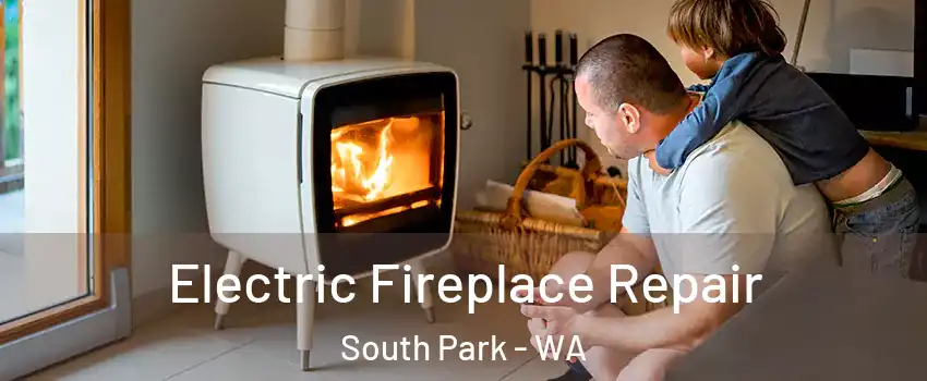 Electric Fireplace Repair South Park - WA