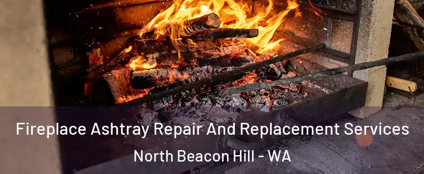 Fireplace Ashtray Repair And Replacement Services North Beacon Hill - WA