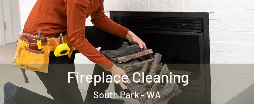 Fireplace Cleaning South Park - WA