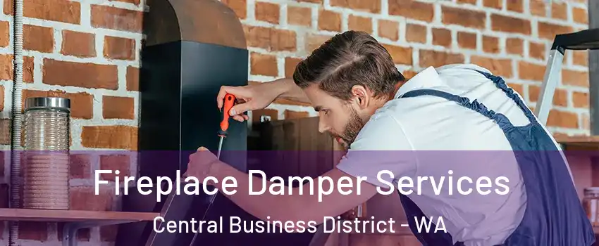Fireplace Damper Services Central Business District - WA