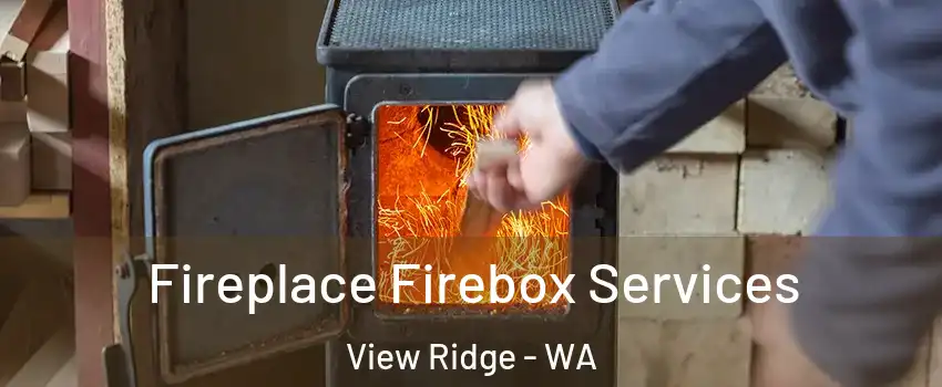 Fireplace Firebox Services View Ridge - WA