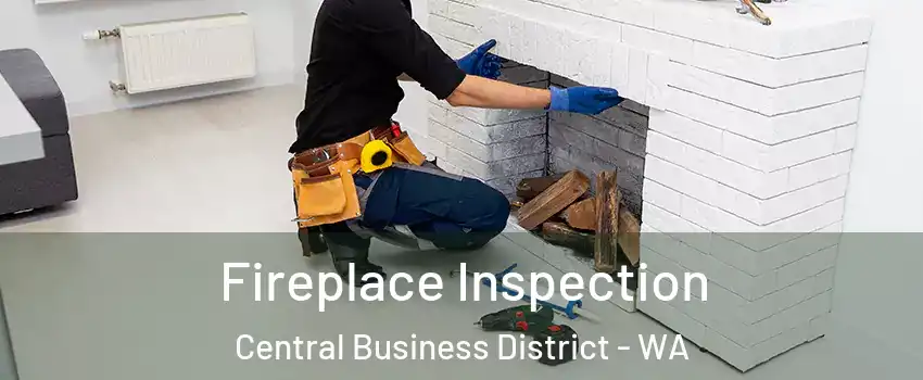 Fireplace Inspection Central Business District - WA