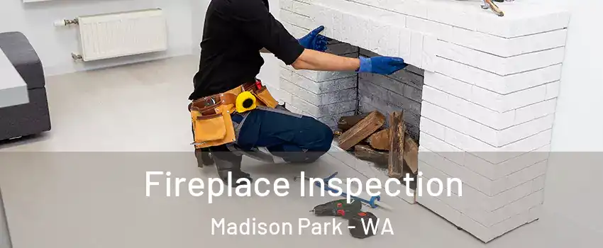 Fireplace Inspection Madison Park - WA