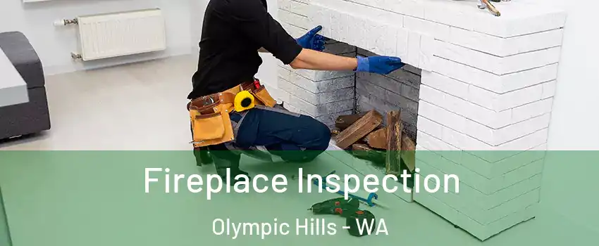 Fireplace Inspection Olympic Hills - WA