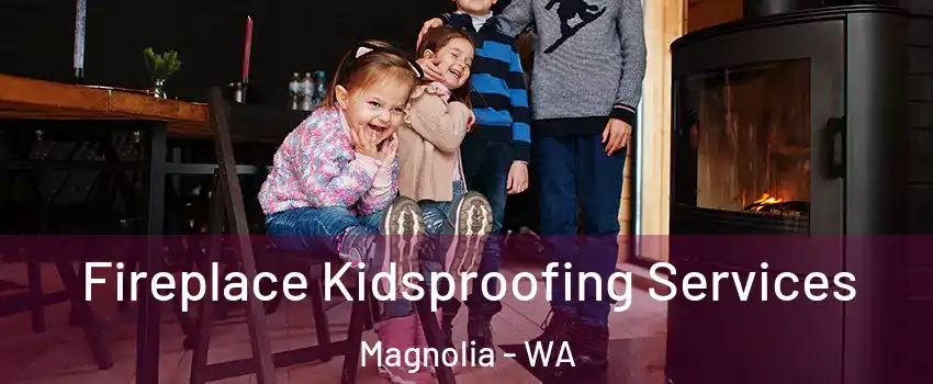 Fireplace Kidsproofing Services Magnolia - WA