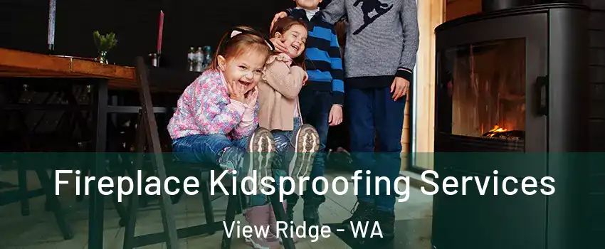 Fireplace Kidsproofing Services View Ridge - WA