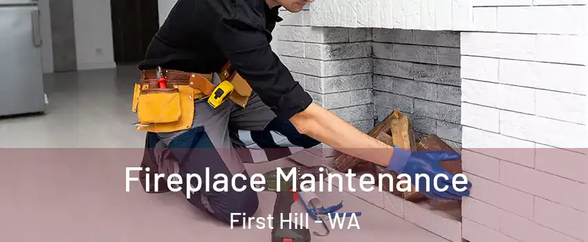 Fireplace Maintenance First Hill - WA