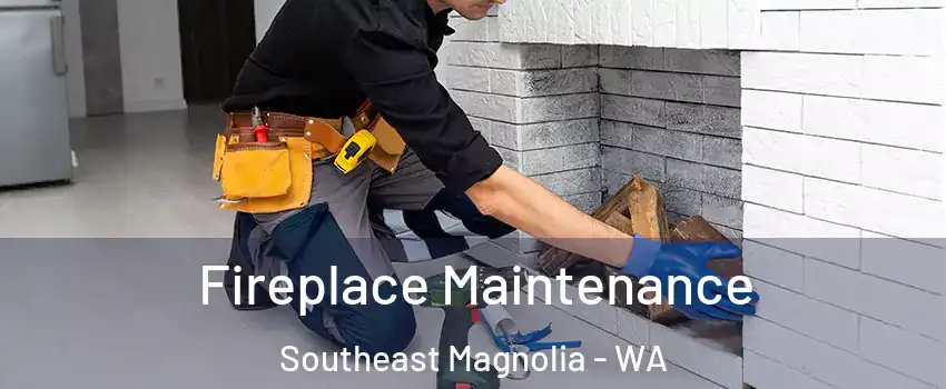 Fireplace Maintenance Southeast Magnolia - WA