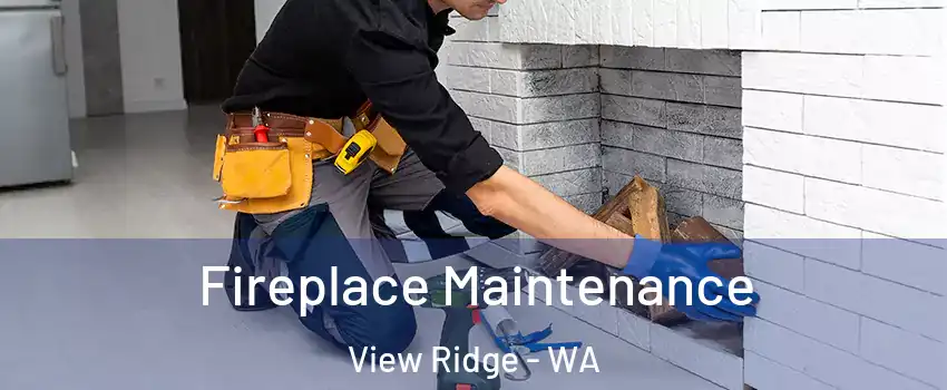 Fireplace Maintenance View Ridge - WA