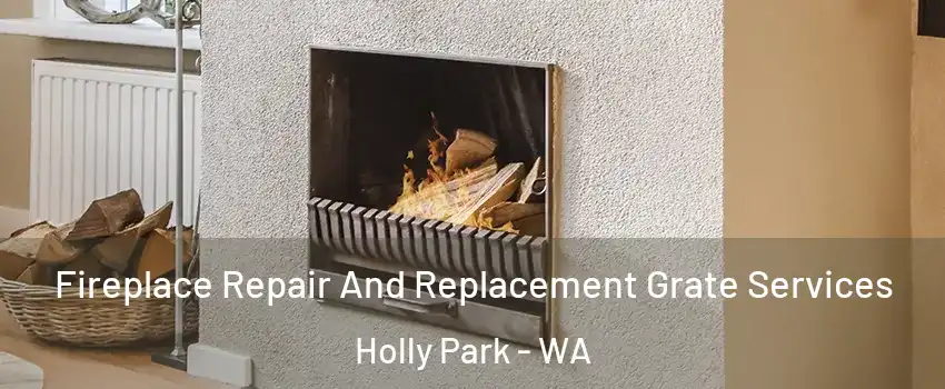 Fireplace Repair And Replacement Grate Services Holly Park - WA