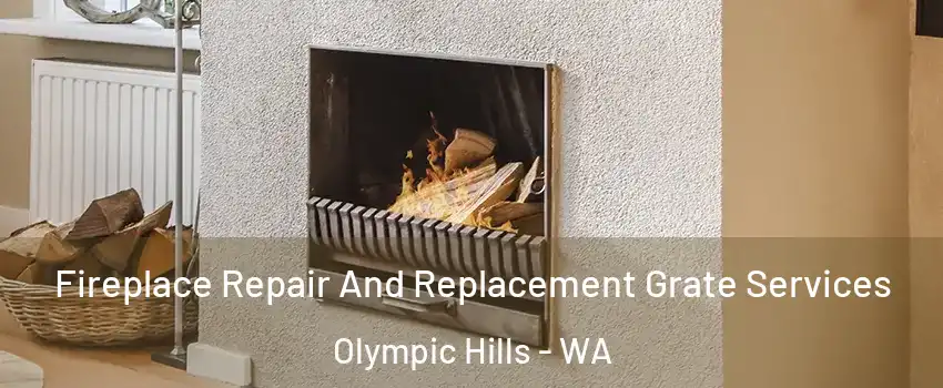 Fireplace Repair And Replacement Grate Services Olympic Hills - WA