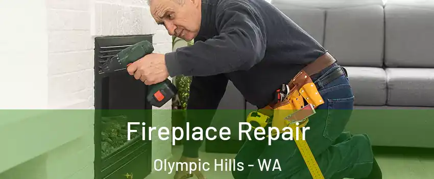 Fireplace Repair Olympic Hills - WA