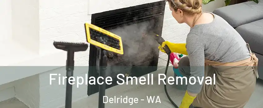 Fireplace Smell Removal Delridge - WA