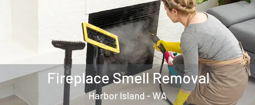 Fireplace Smell Removal Harbor Island - WA