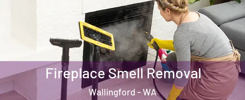 Fireplace Smell Removal Wallingford - WA