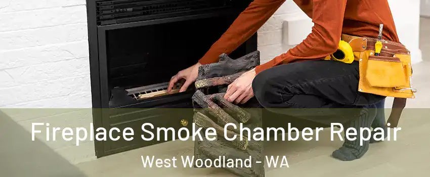 Fireplace Smoke Chamber Repair West Woodland - WA