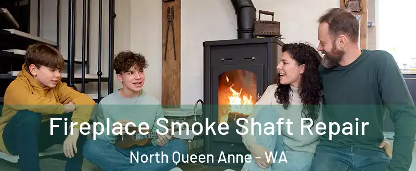 Fireplace Smoke Shaft Repair North Queen Anne - WA