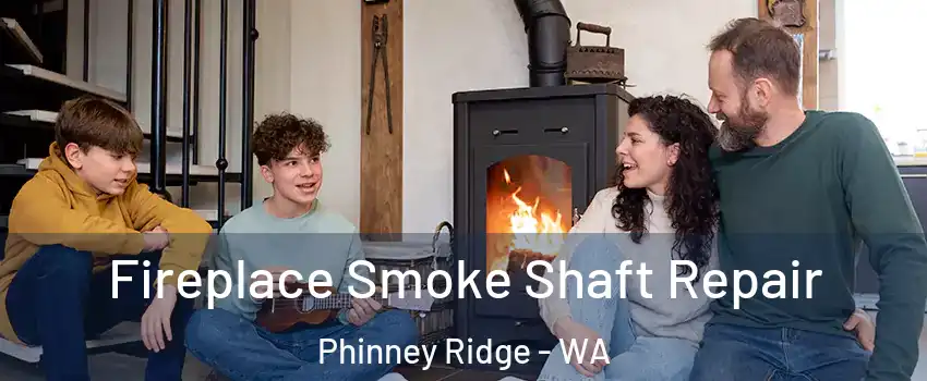 Fireplace Smoke Shaft Repair Phinney Ridge - WA
