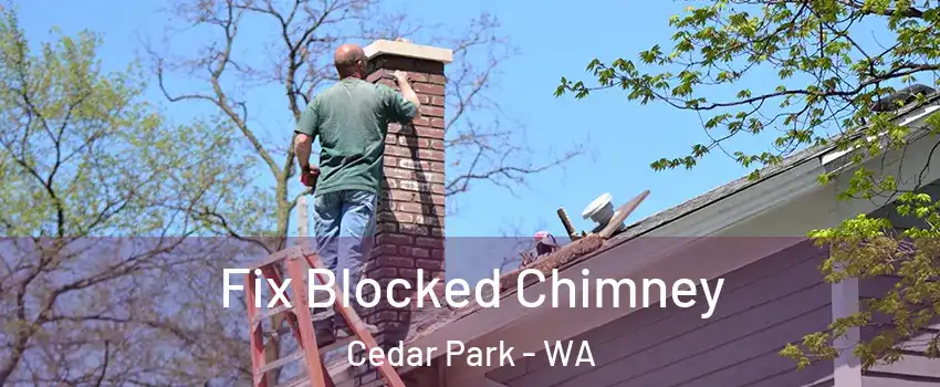 Fix Blocked Chimney Cedar Park - WA