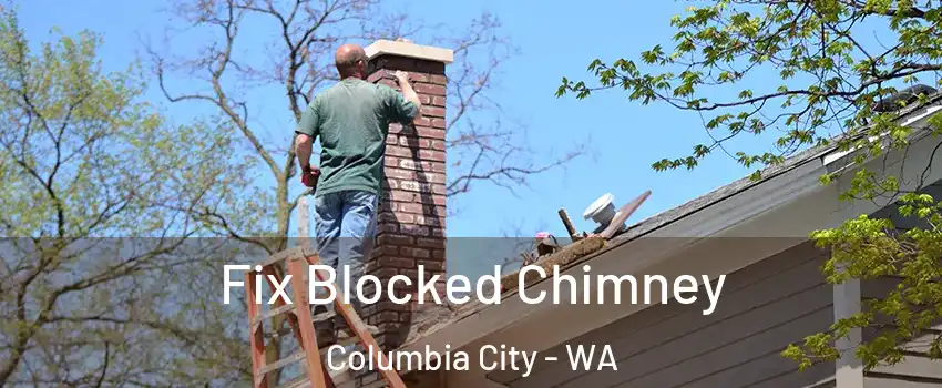 Fix Blocked Chimney Columbia City - WA