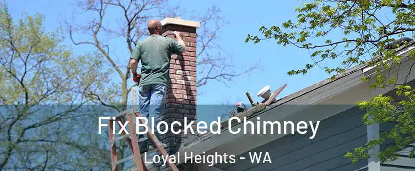 Fix Blocked Chimney Loyal Heights - WA