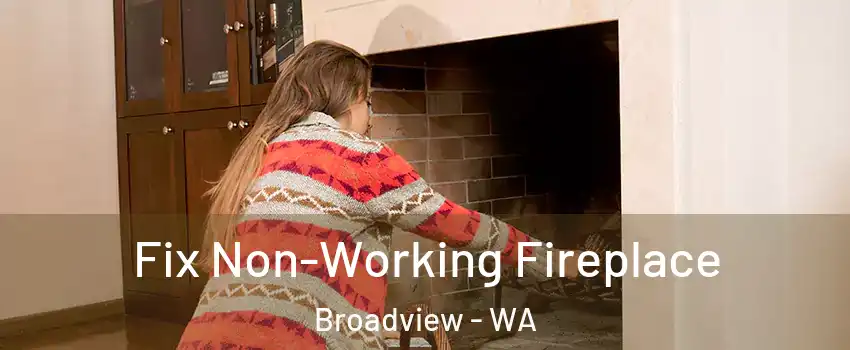 Fix Non-Working Fireplace Broadview - WA
