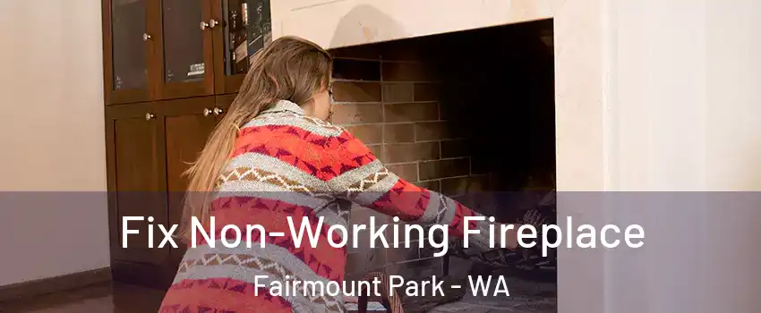 Fix Non-Working Fireplace Fairmount Park - WA