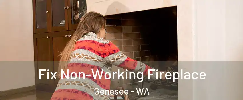 Fix Non-Working Fireplace Genesee - WA