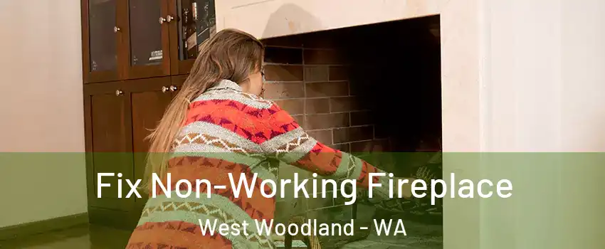 Fix Non-Working Fireplace West Woodland - WA