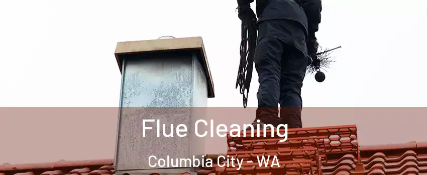 Flue Cleaning Columbia City - WA