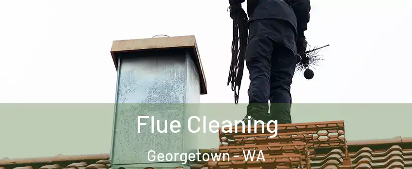 Flue Cleaning Georgetown - WA