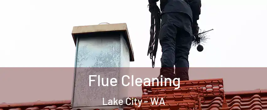 Flue Cleaning Lake City - WA