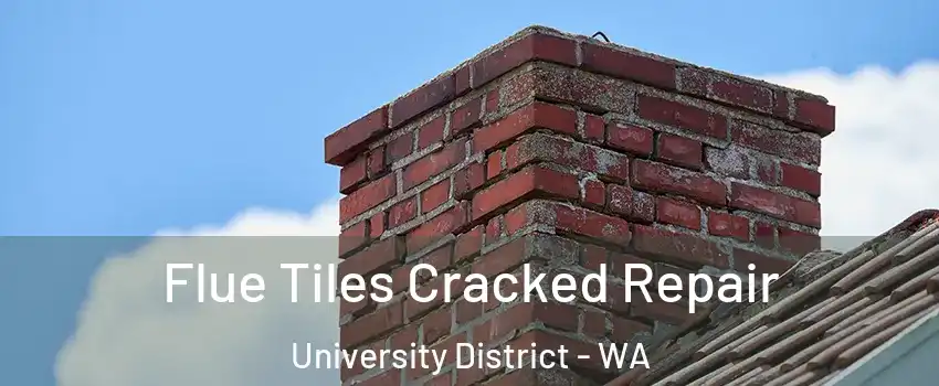 Flue Tiles Cracked Repair University District - WA