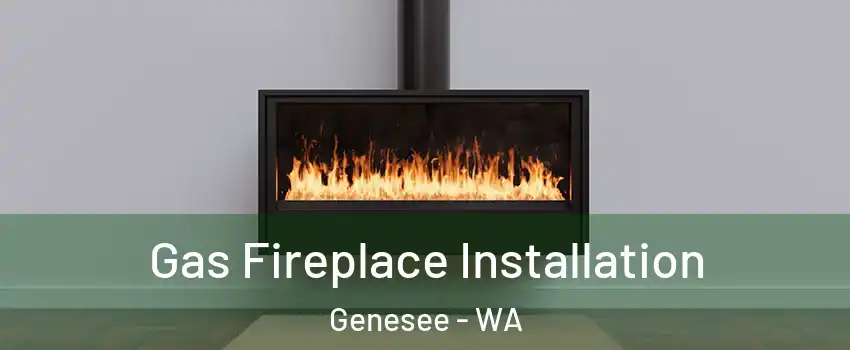 Gas Fireplace Installation Genesee - WA
