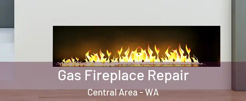 Gas Fireplace Repair Central Area - WA