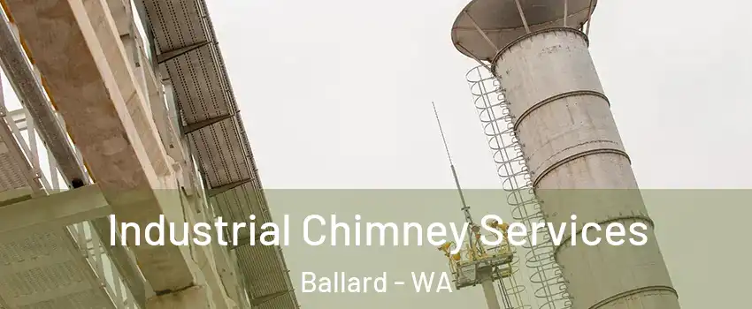 Industrial Chimney Services Ballard - WA