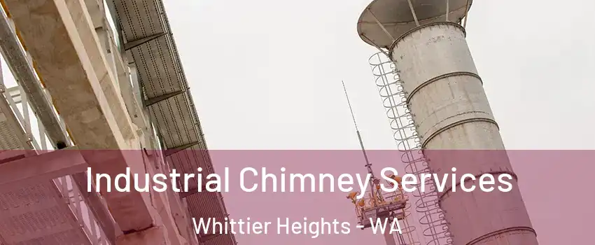 Industrial Chimney Services Whittier Heights - WA