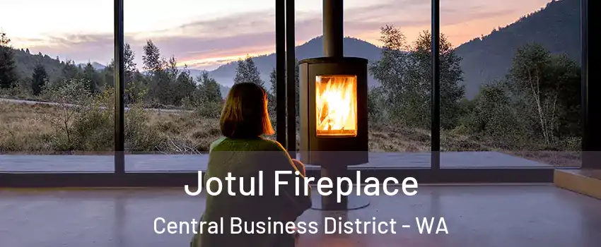 Jotul Fireplace Central Business District - WA
