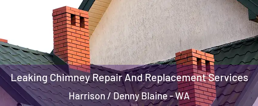 Leaking Chimney Repair And Replacement Services Harrison / Denny Blaine - WA
