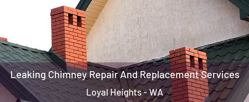 Leaking Chimney Repair And Replacement Services Loyal Heights - WA