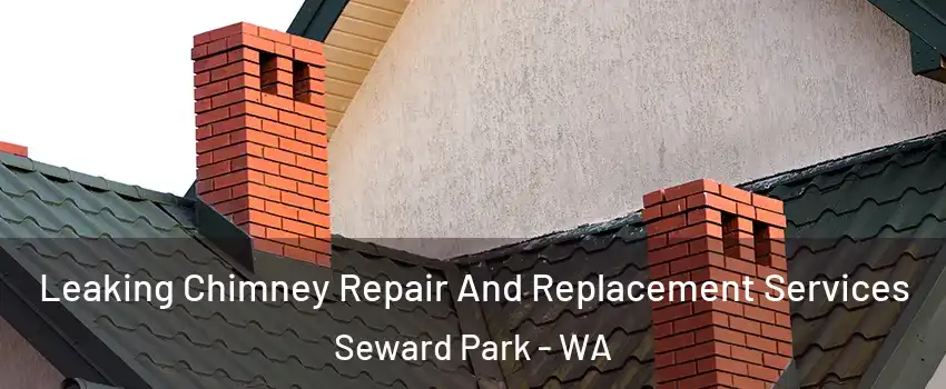 Leaking Chimney Repair And Replacement Services Seward Park - WA