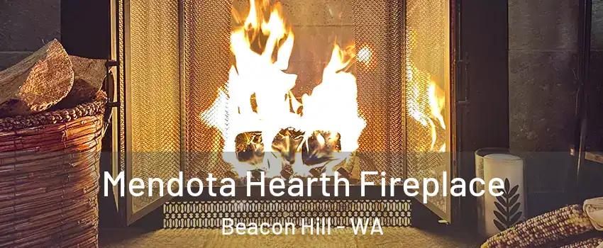 Mendota Hearth Fireplace Beacon Hill - WA
