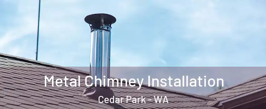 Metal Chimney Installation Cedar Park - WA