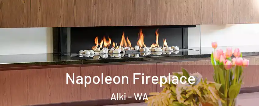 Napoleon Fireplace Alki - WA