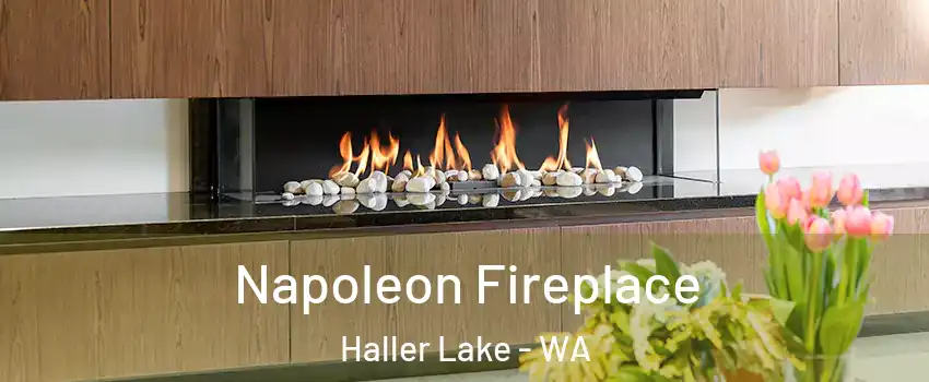 Napoleon Fireplace Haller Lake - WA
