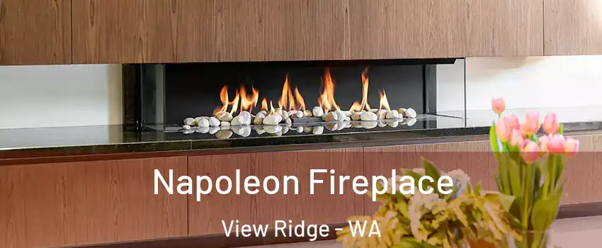Napoleon Fireplace View Ridge - WA