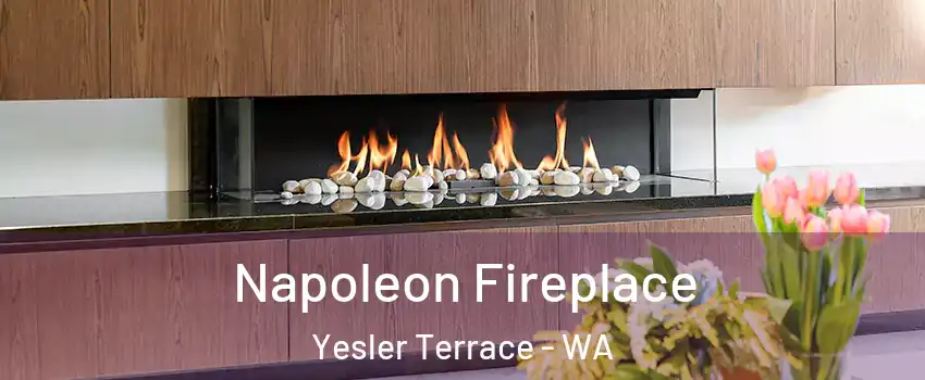 Napoleon Fireplace Yesler Terrace - WA