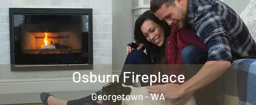 Osburn Fireplace Georgetown - WA